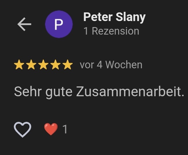 Google-Bewertung: Peter Slany Google-Bewertung von Peter Slany zur Zusammenarbeit mit HomeStrong-EMS
